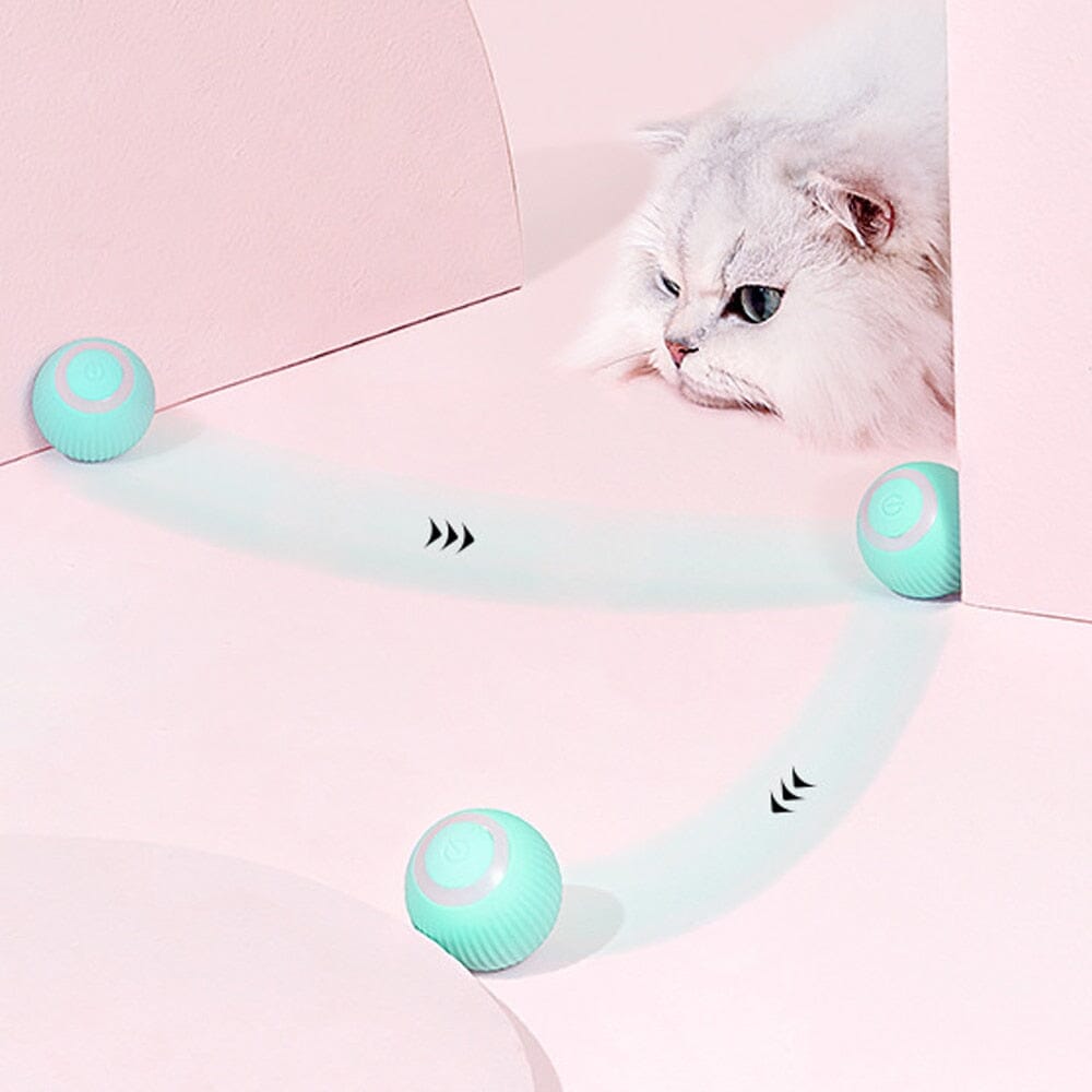 AutoBall™ - Jouet électrique interactifs pour chats - Passionmiaw