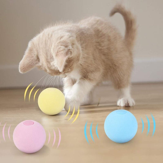 SmartBall™ - Balle intelligente d'apprentissage pour chat - Passionmiaw