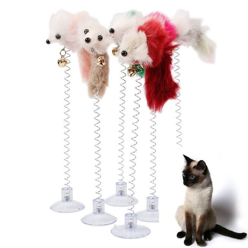 SpringFun™ - Colonne Spirale pour chat - Passionmiaw